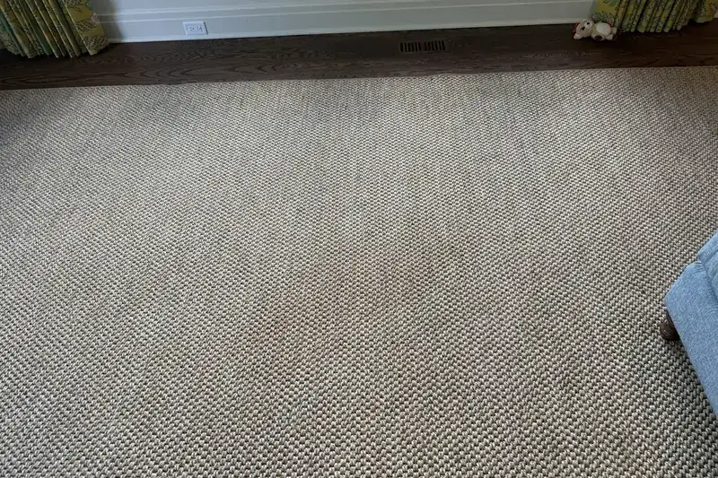 After: the same carpet after truck-mounted hot water extraction by our Clarendon Hills office