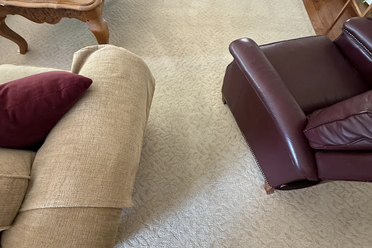 Clean carpet after professional cleaning in Irving Park