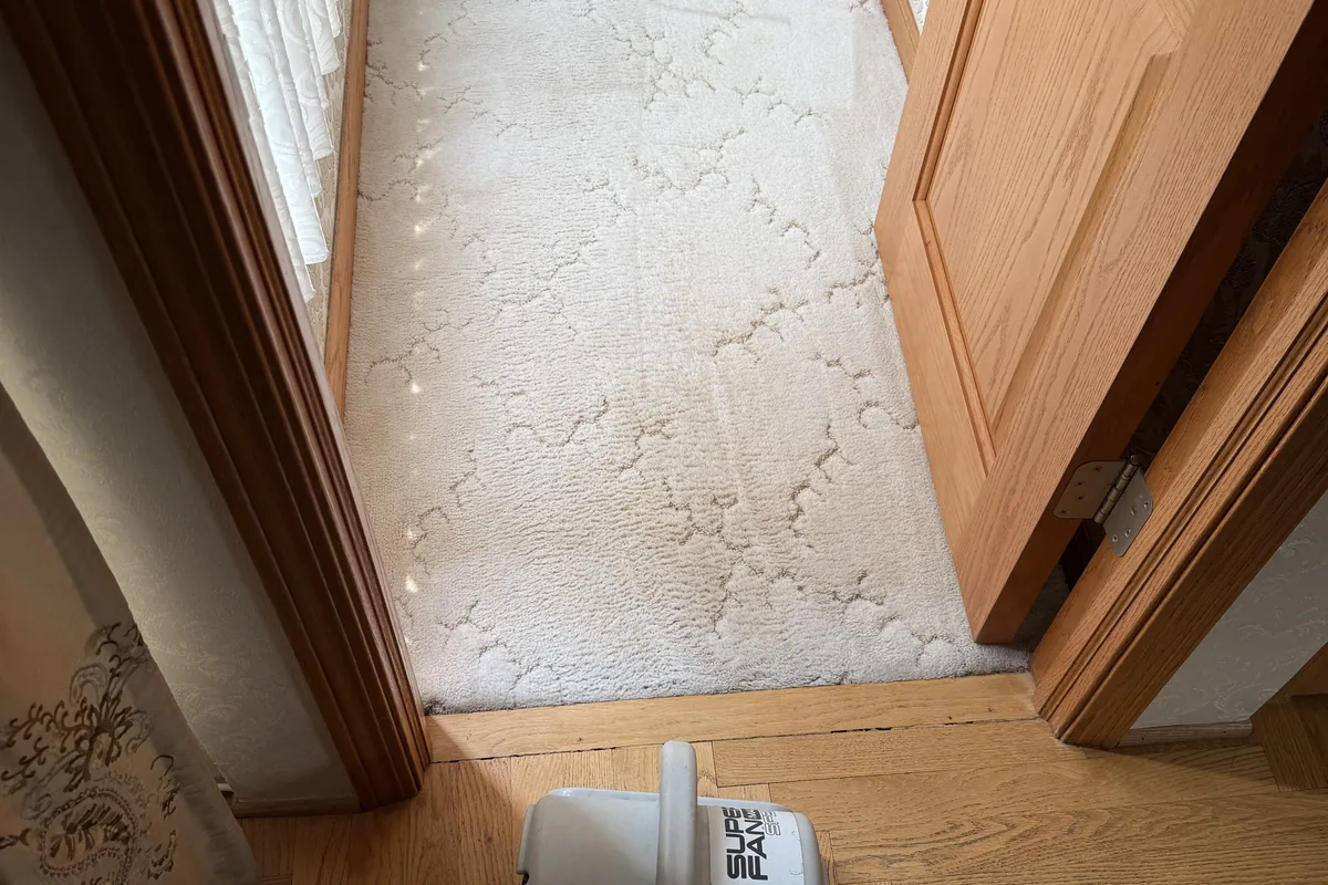 Clean carpet after professional cleaning in Highland Park