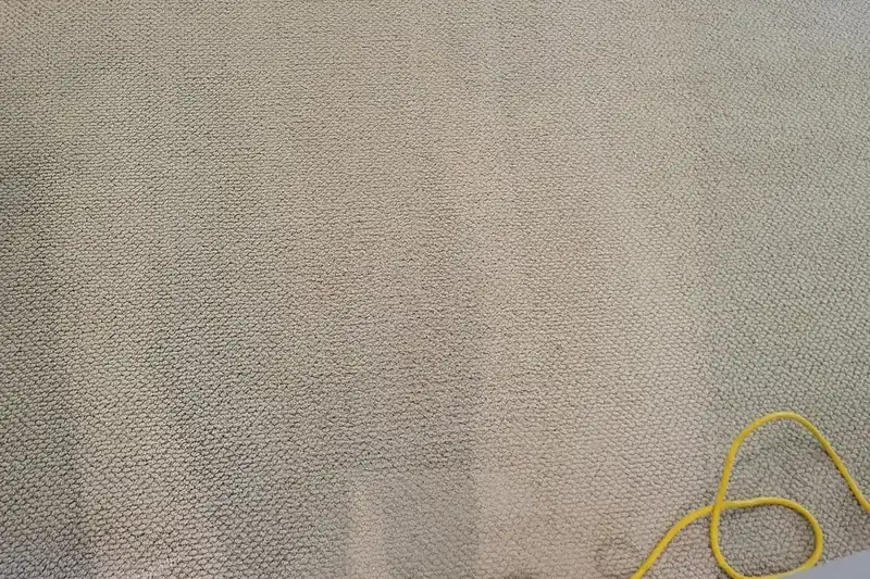 After: the same carpet after truck-mounted hot water extraction by our Barrington office
