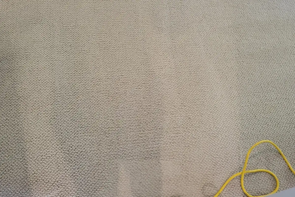 Clean carpet after professional cleaning in North Center