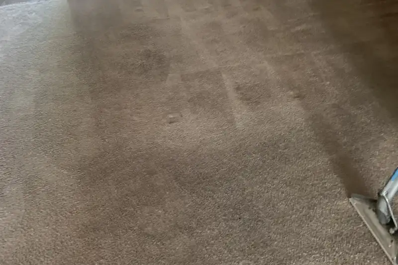 After: the same carpet after truck-mounted hot water extraction by our Chicago office