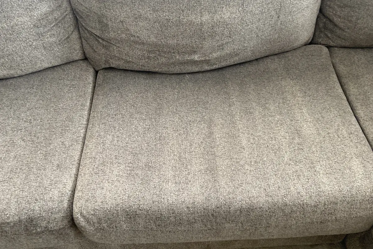 Clean carpet after professional cleaning in Dunning