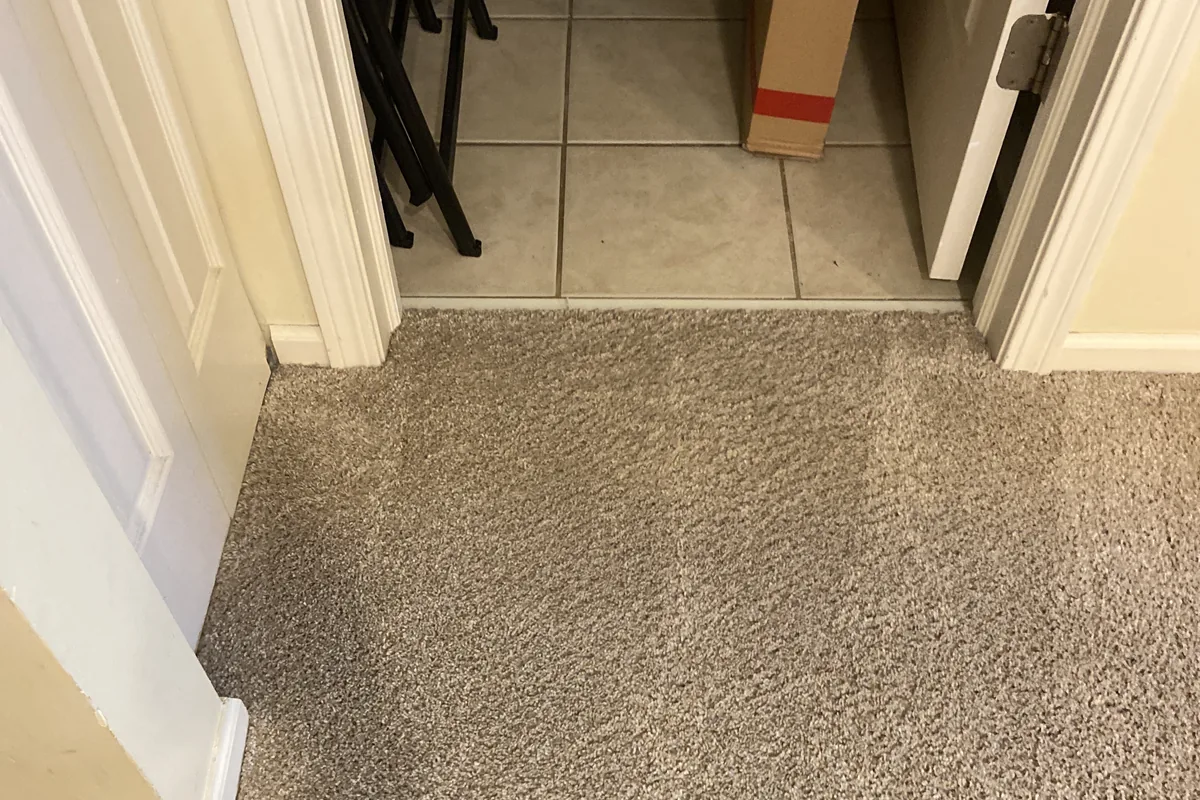 Clean carpet after professional cleaning in Edgewater