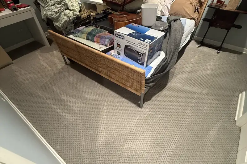 After: the same carpet after truck-mounted hot water extraction by our Barrington office