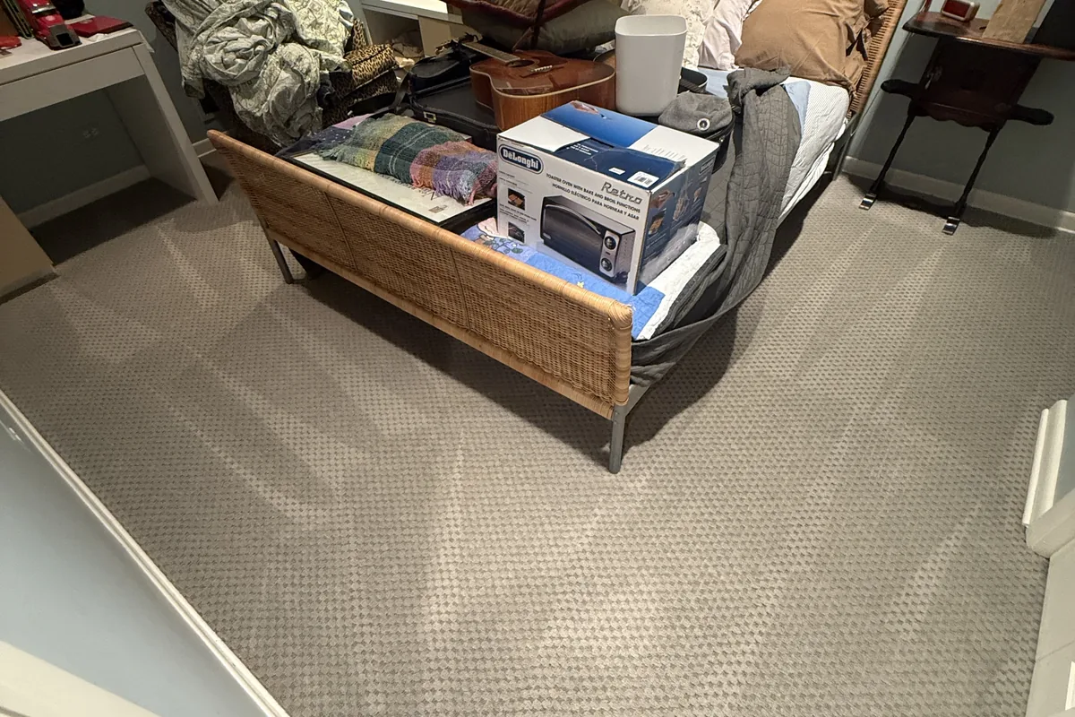Clean carpet after professional cleaning in Palatine