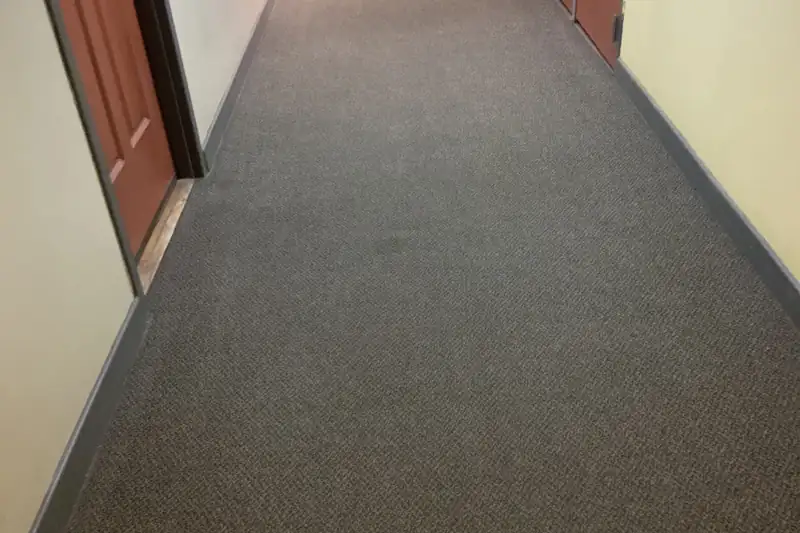 After: the same carpet after truck-mounted hot water extraction by our Northbrook office