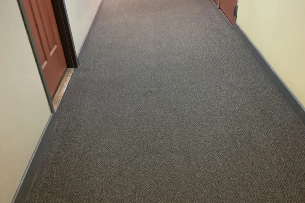 Clean carpet after professional cleaning in Edison Park