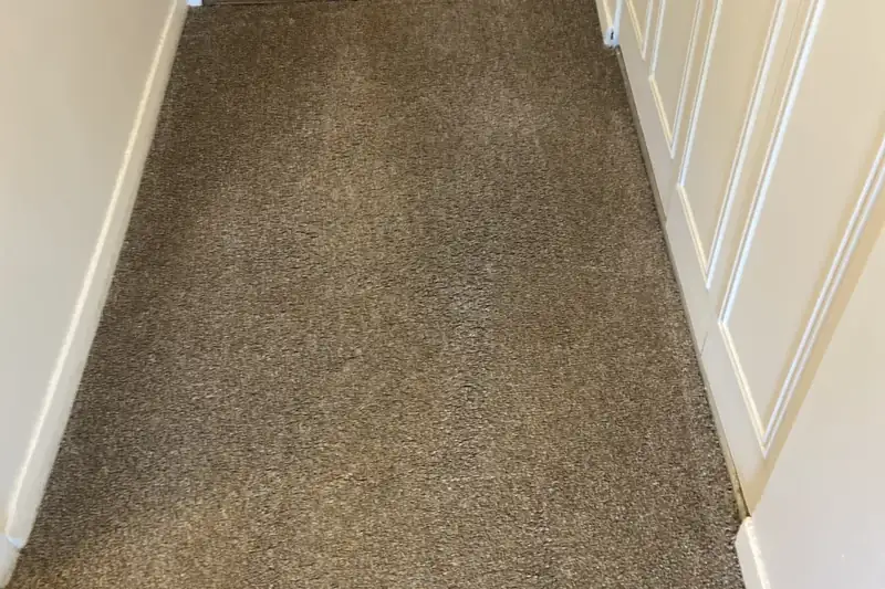 After: the same carpet after truck-mounted hot water extraction by our Chicago office
