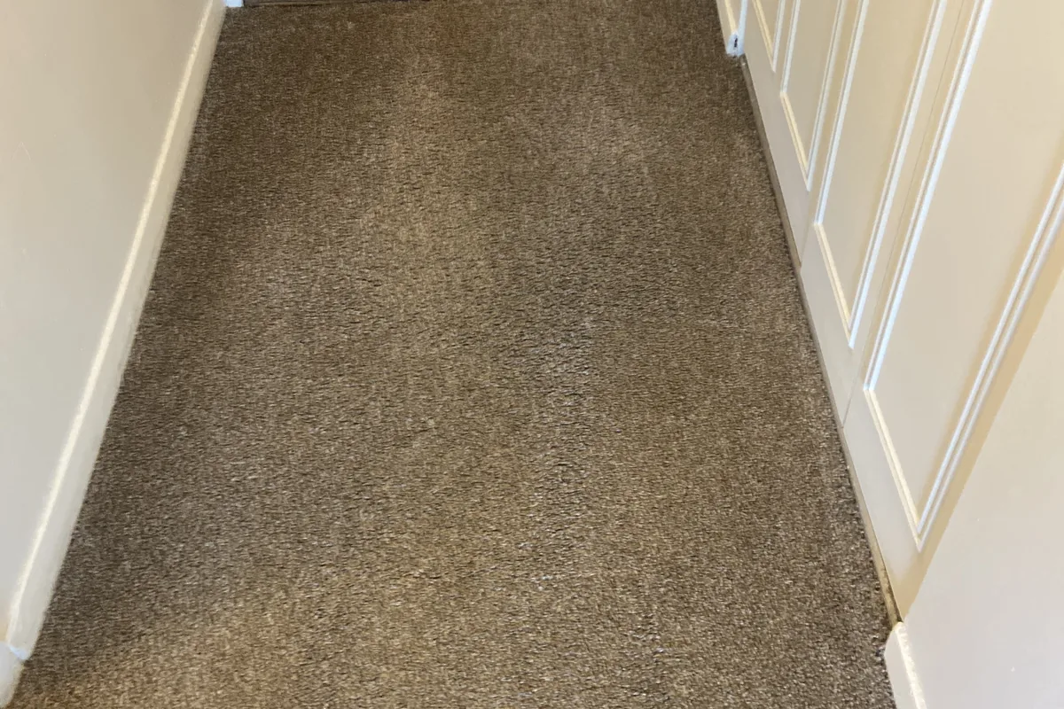 Clean carpet after professional cleaning in O'Hare