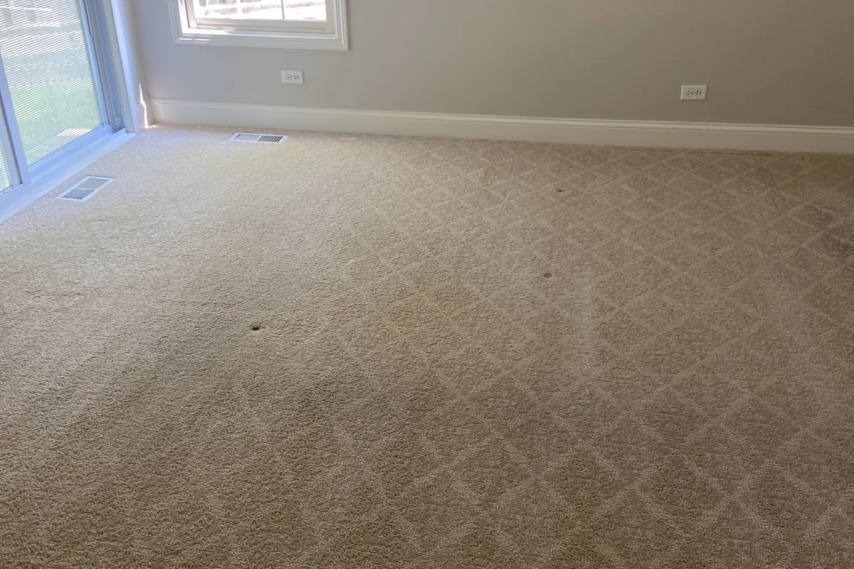 Clean carpet after professional cleaning in Chicago