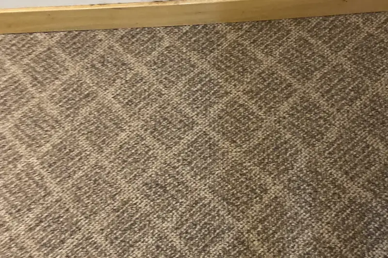 After: the same carpet after truck-mounted hot water extraction by our Barrington office