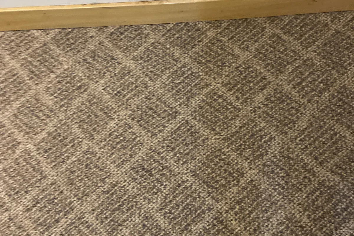 Clean carpet after professional cleaning in Forest Glen