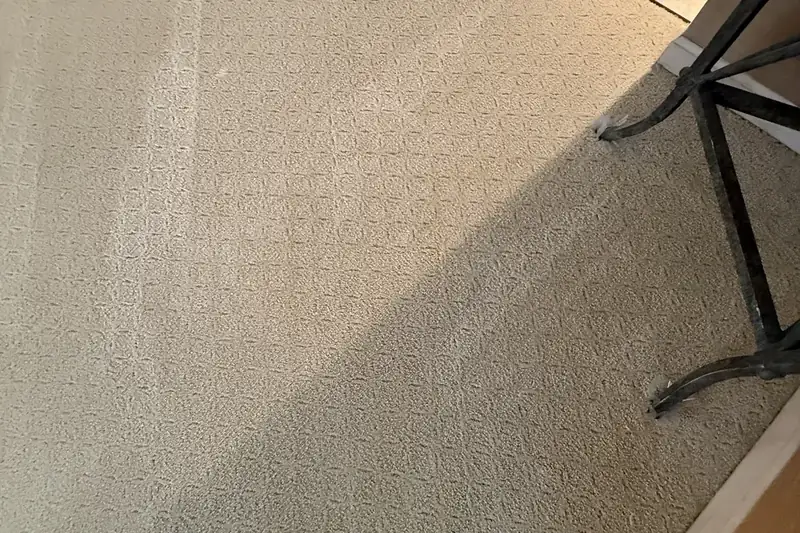 After: the same carpet after truck-mounted hot water extraction by our Northbrook office