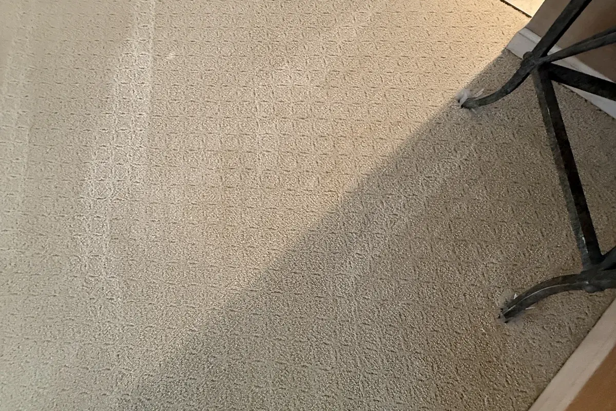 Clean carpet after professional cleaning in Wilmette