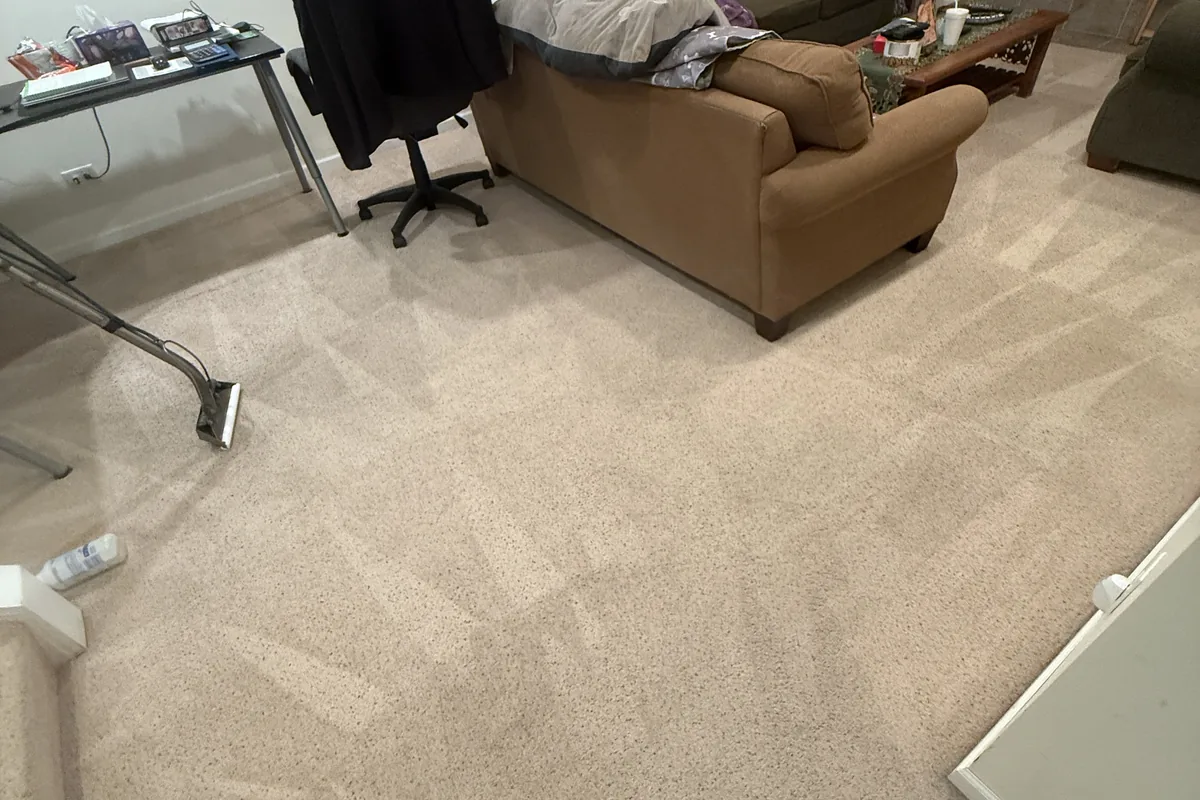 Clean carpet after professional cleaning in Wilmette
