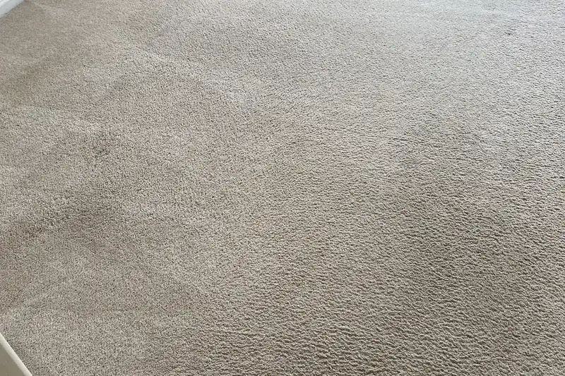 After: the same carpet after truck-mounted hot water extraction by our Northbrook office