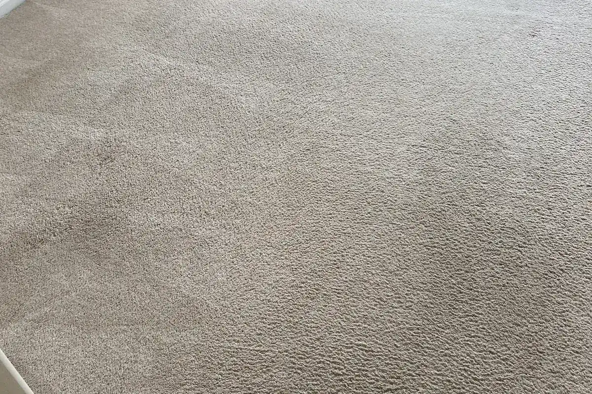 Clean carpet after professional cleaning in Winnetka