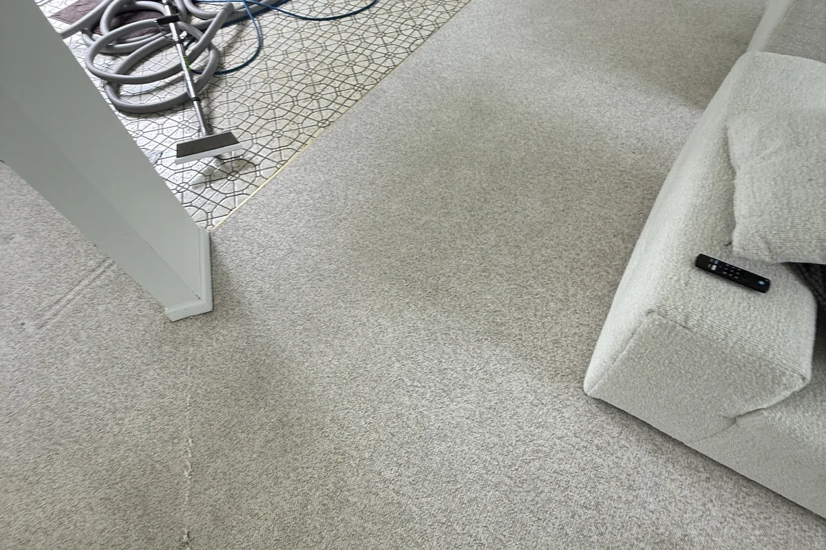 Clean carpet after professional cleaning in Palos Park