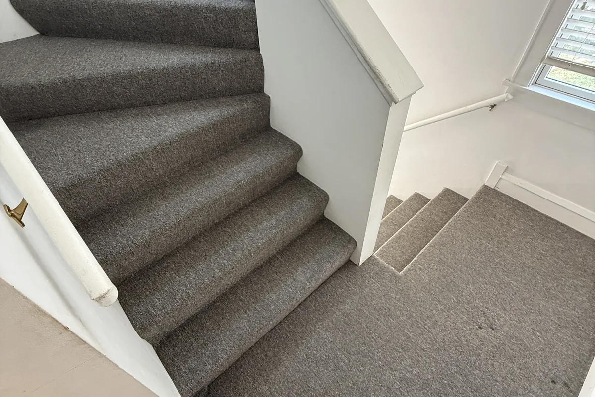 Clean carpet after professional cleaning in Morton Grove