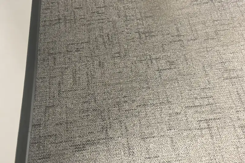 After: the same carpet after truck-mounted hot water extraction by our Barrington office