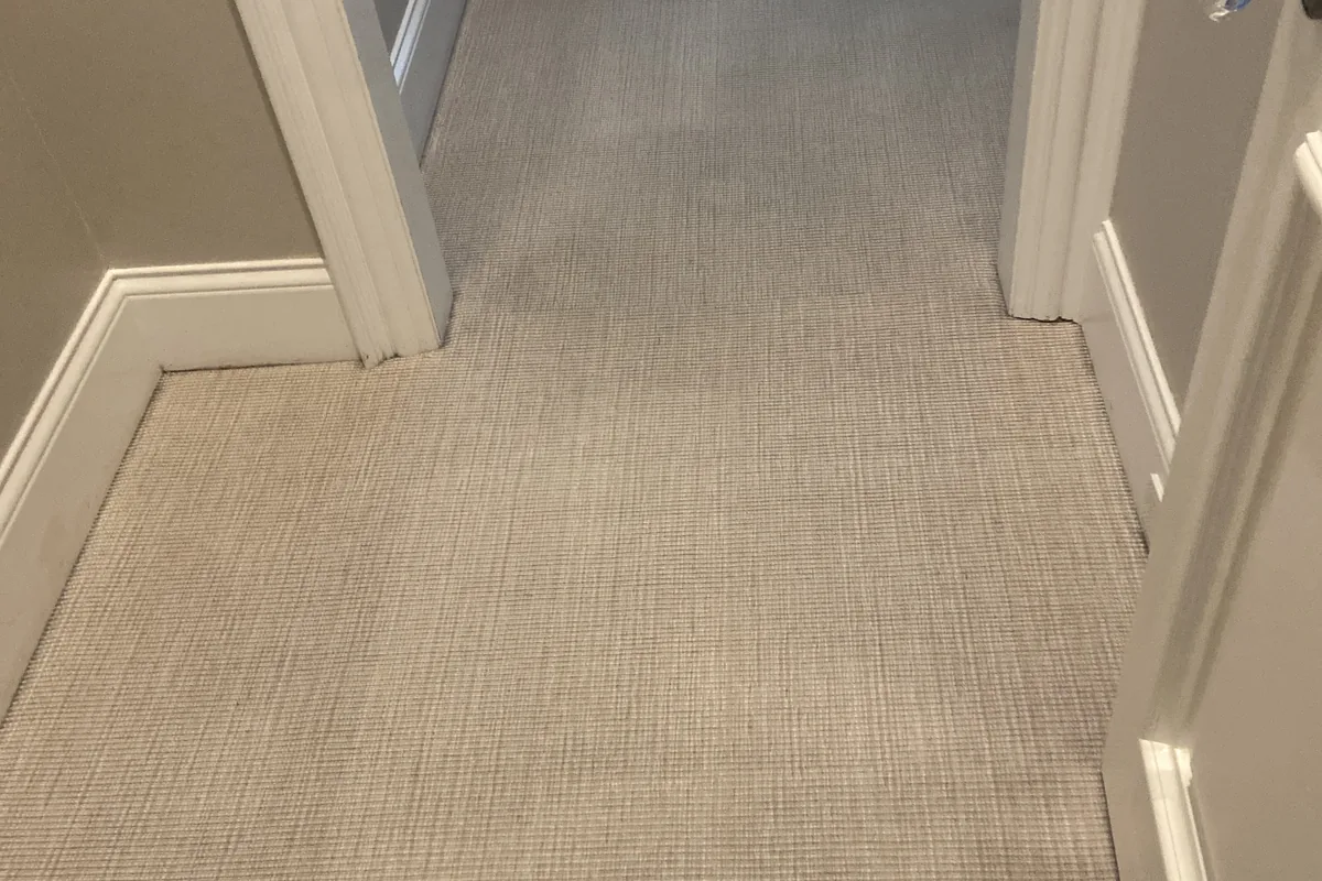 Clean carpet after professional cleaning in Naperville