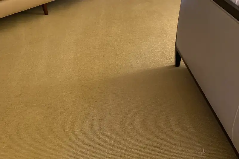 After: the same carpet after truck-mounted hot water extraction by our Chicago office