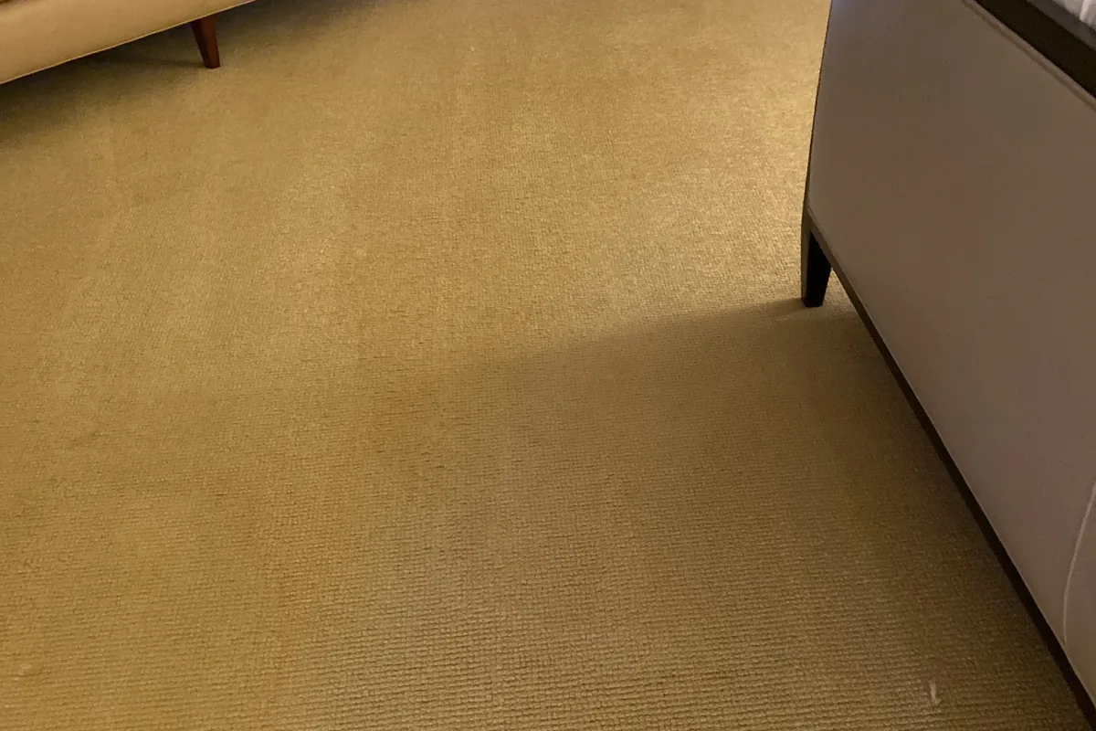 Clean carpet after professional cleaning in Des Plaines