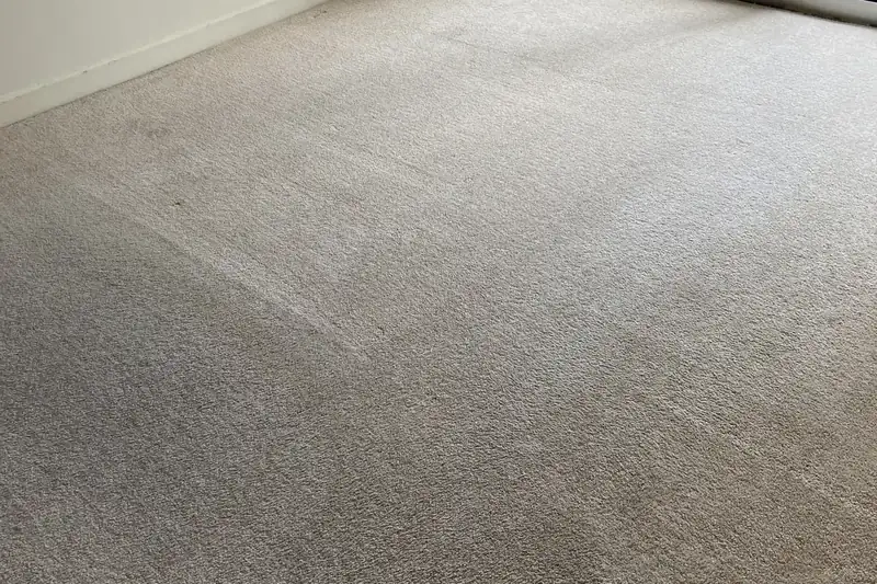 After: the same carpet after truck-mounted hot water extraction by our Chicago office