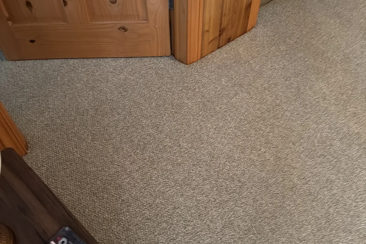 Clean carpet after professional cleaning in Andersonville