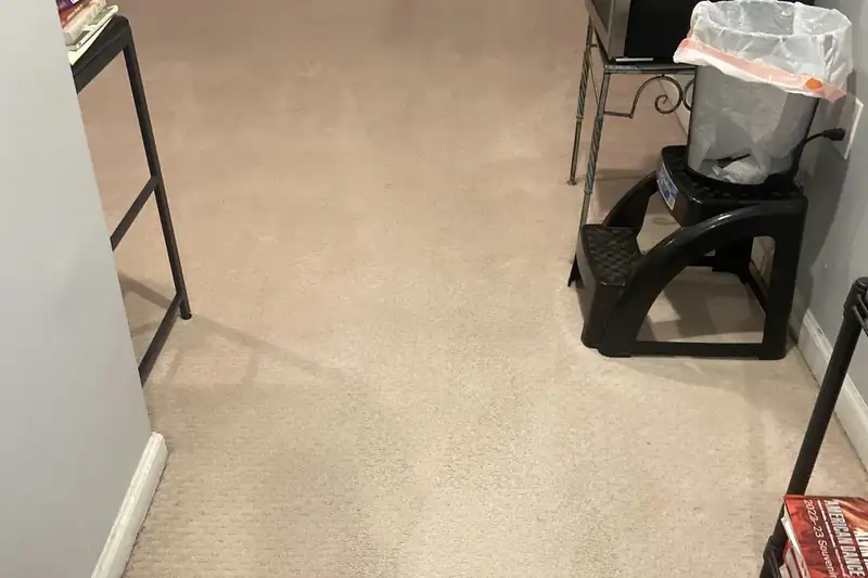 After: the same carpet after truck-mounted hot water extraction by our Northbrook office