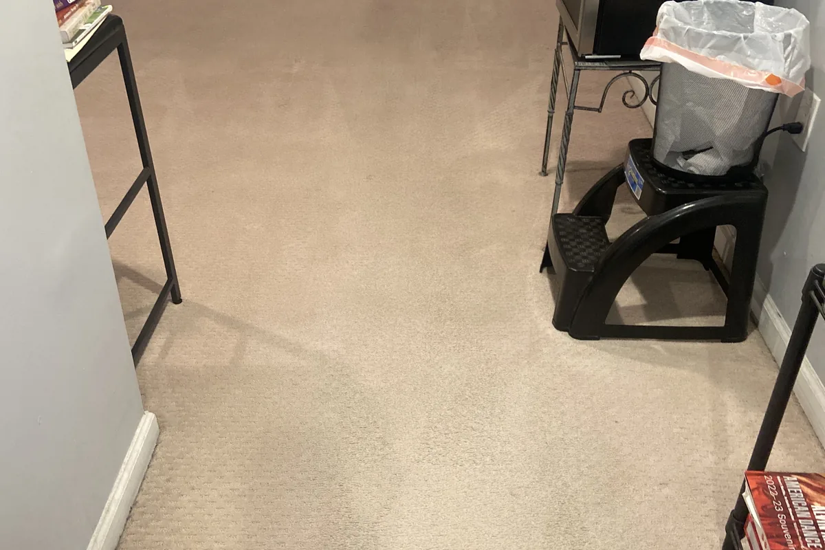 Clean carpet after professional cleaning in Northfield