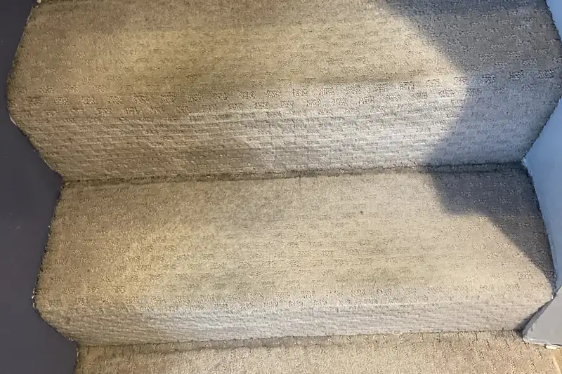 After: the same carpet after truck-mounted hot water extraction by our Chicago office