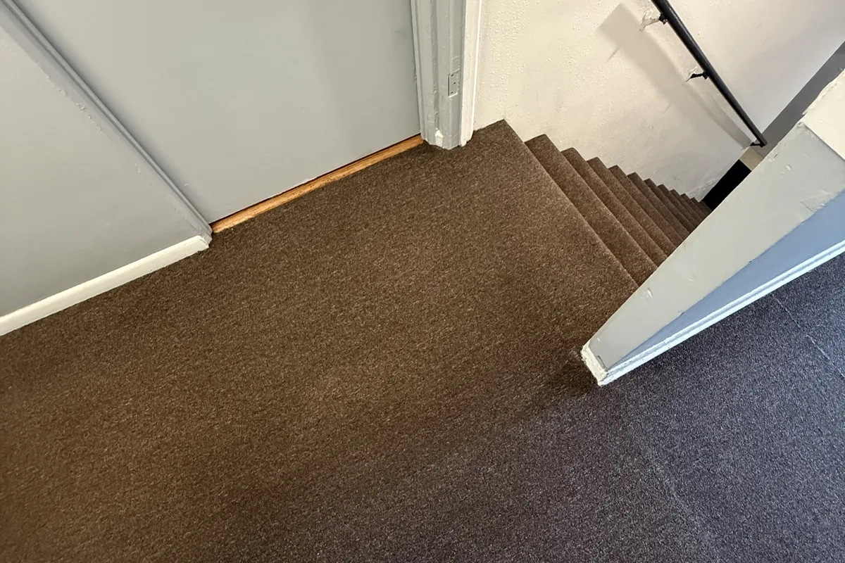 Clean carpet after professional cleaning in Avondale