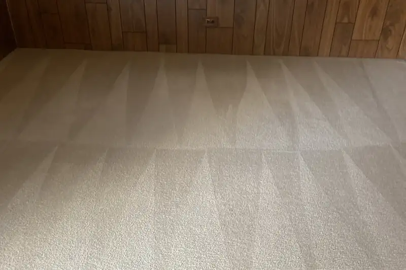 After: the same carpet after truck-mounted hot water extraction by our Chicago office