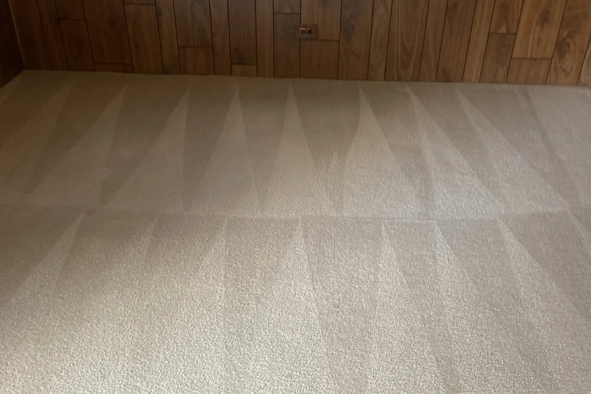 Clean carpet after professional cleaning in Glenview