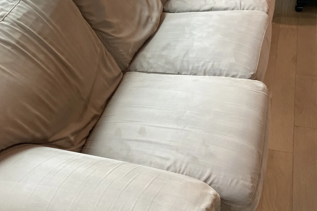 Clean carpet after professional cleaning in Roselle