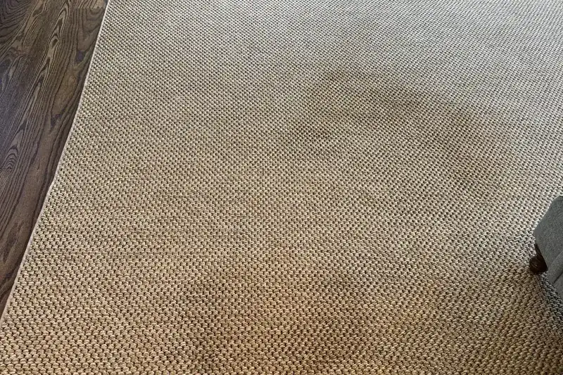 Before: carpet with traffic-lane soiling and spots
