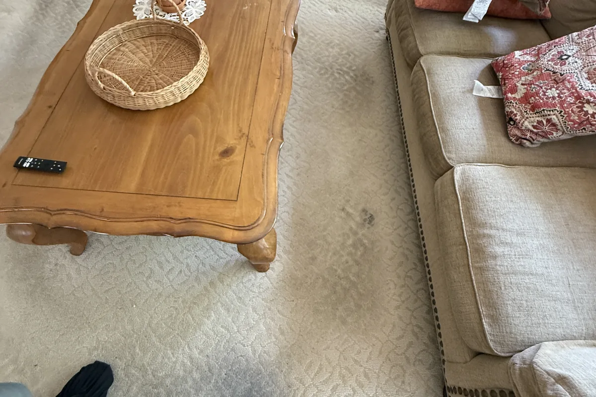 Stained carpet before cleaning in a Irving Park home