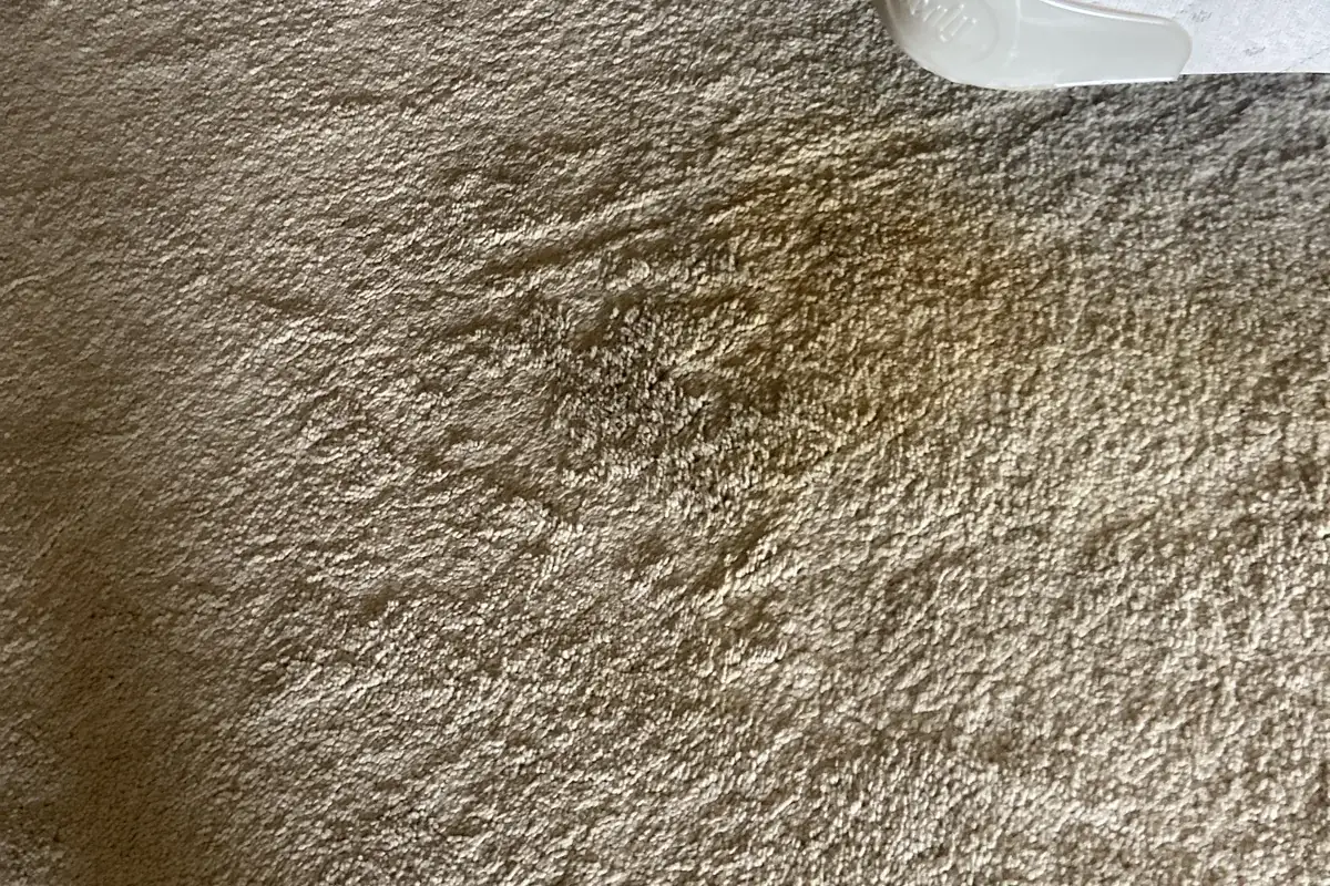 Stained carpet before cleaning in Northbrook