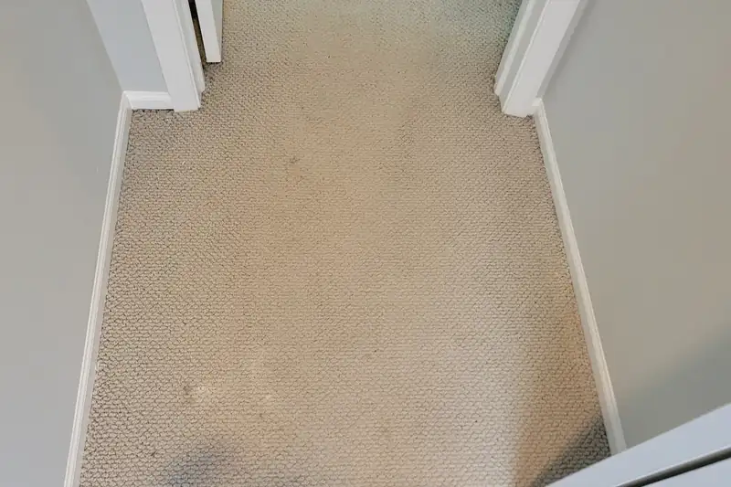 Before: carpet with traffic-lane soiling and spots