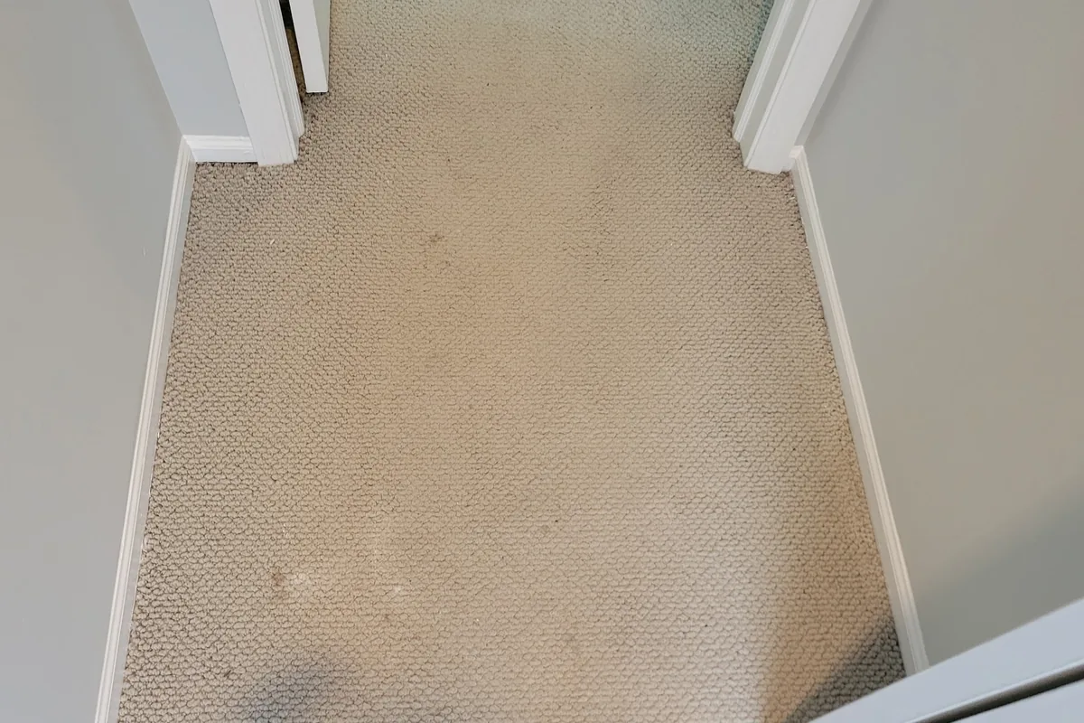 Stained carpet before cleaning in a North Center home