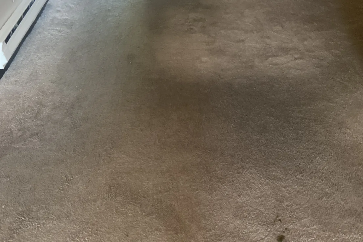 Stained carpet before cleaning in an Addison home