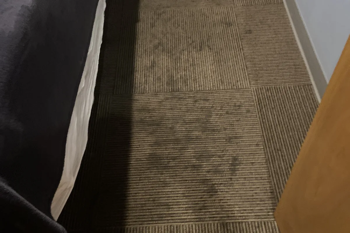 Stained carpet before cleaning in an Albany Park apartment