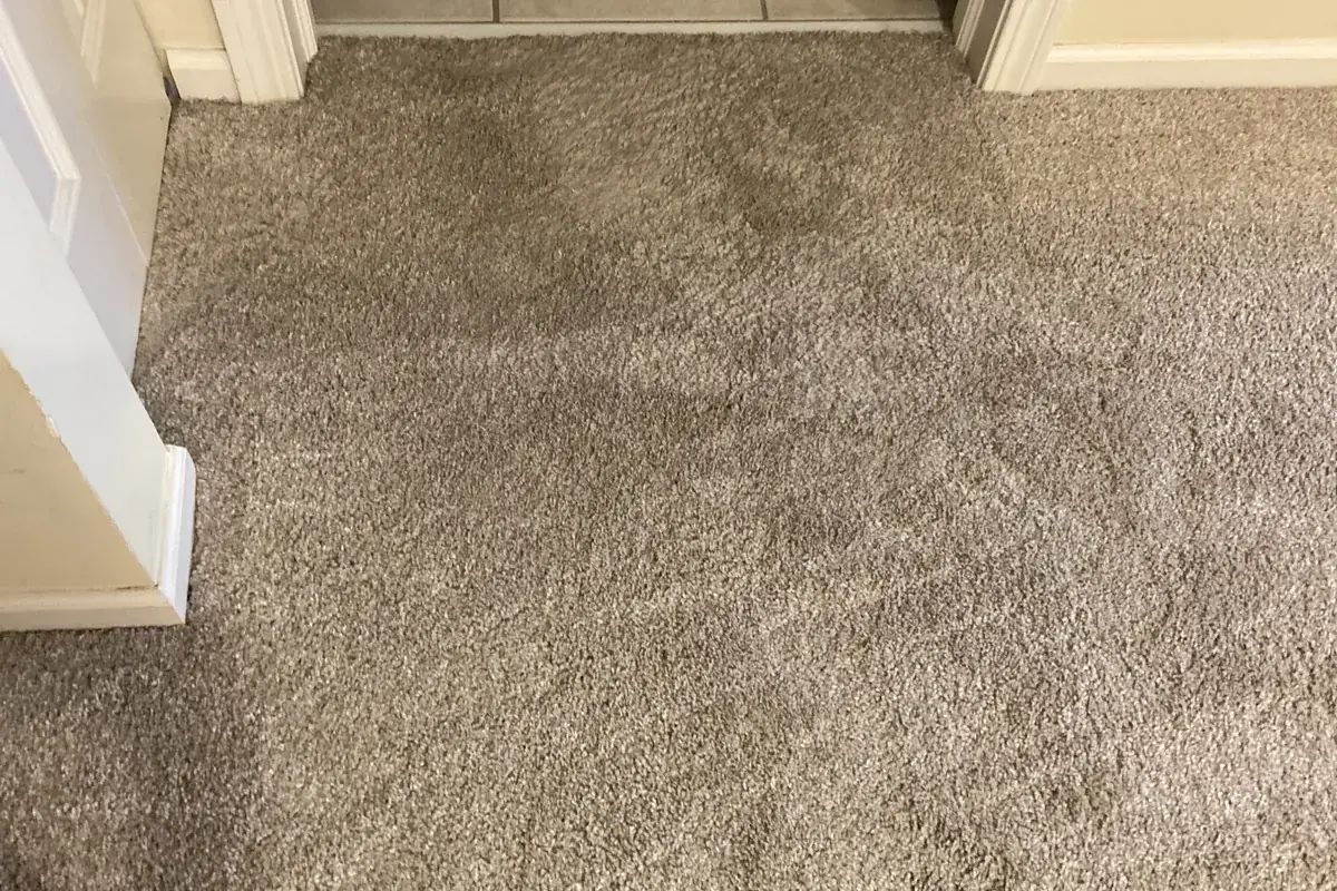 Stained carpet before cleaning in a Edgewater home