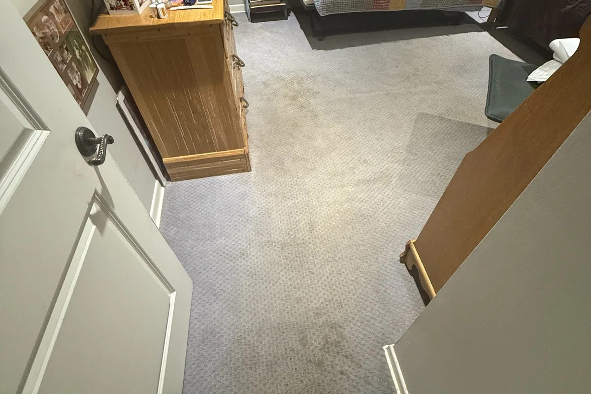 Stained carpet before cleaning in a Palatine home
