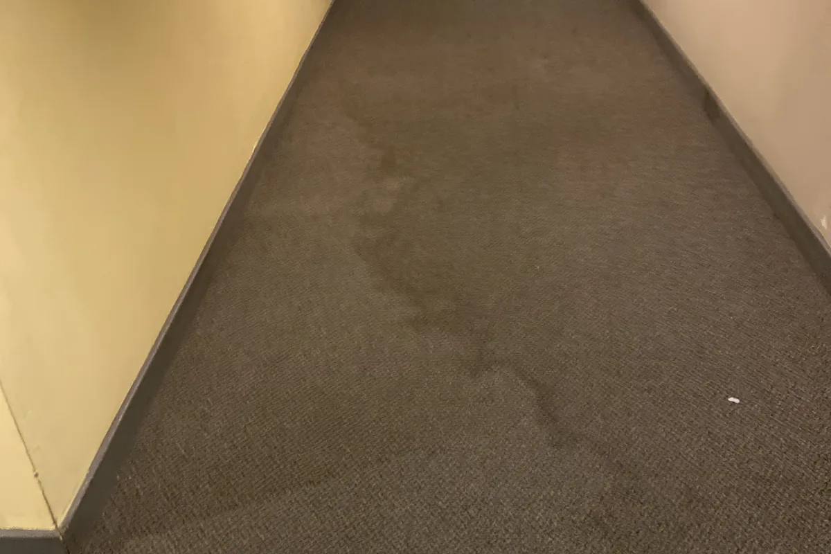 Stained carpet before cleaning in a Edison Park home