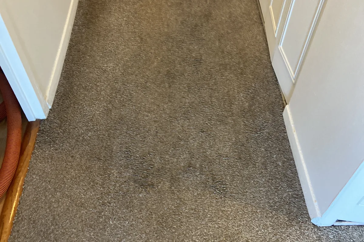 Stained carpet before cleaning in a O'Hare home