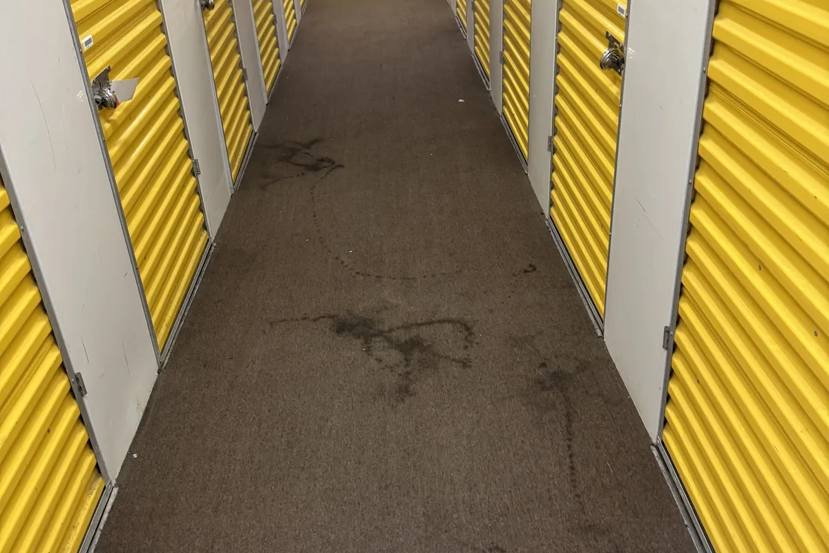 Stained carpet before cleaning in Chicago