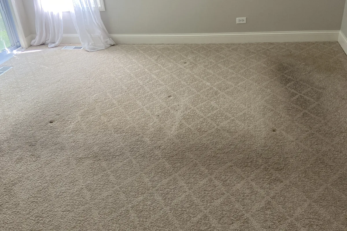 Stained carpet before cleaning in Chicago